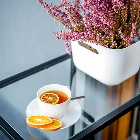 Targi Z Garazem I Silownia *